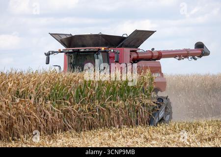 A farmer harvests a corn crop in west central Illinois using a Case IH harvester. Stock Photo
