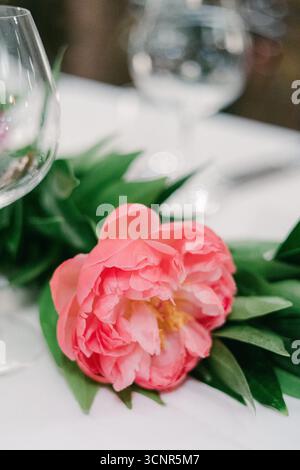 A vibrant pink peony rests on a white tablecloth, enhancing the elegant atmosphere of a special celebration. Stock Photo