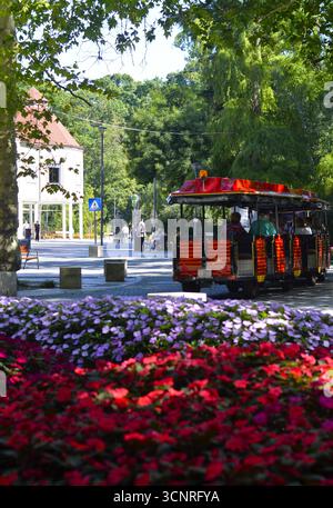 Mini train Dotto ,Heviz,Hungary Tourist attraction Stock Photo - Alamy