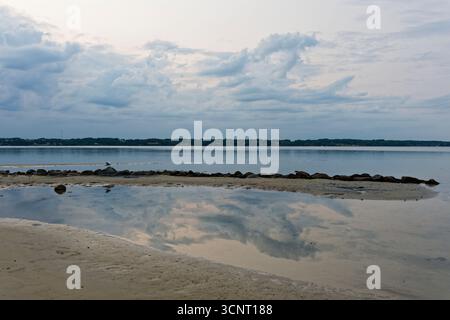 A lone seagull rests on a stone groyne as blue clouds reflect in the water and the shore stays quiet at Solitude Flensburg. Peaceful coastal view idea Stock Photo