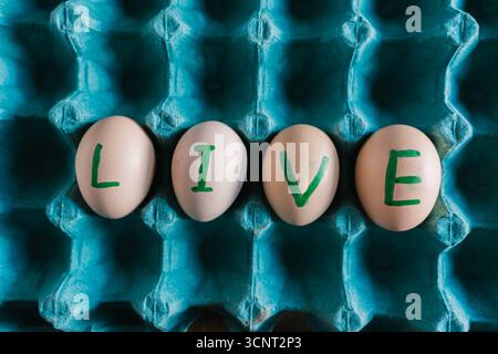 live written in Fresh, organic eggs, both white and brown, are packaged in a cardboard container. Stock Photo