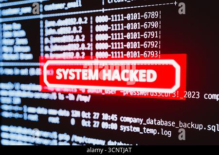 System Hacked: Red Alert on a Computer Screen Showing Stolen Data. 3d rendering Stock Photo