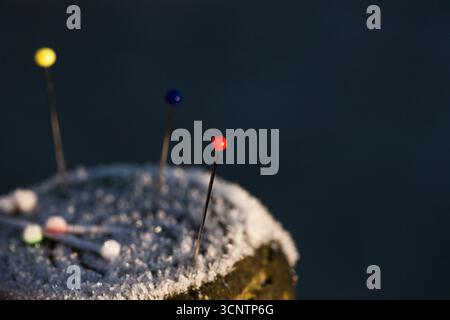 Macrophotography of needles or pins placed in end of the wood covered by morning frost. Sewing tools used by designers, hobby sewing Stock Photo