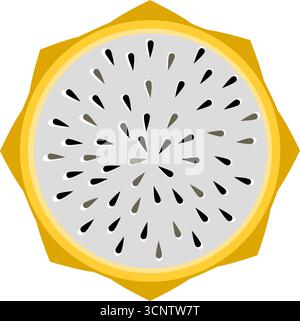 Yellow Pitaya dragonfruit slice vector illustration Stock Vector