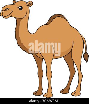 A tall desert mammal stands calmly showing a high hump narrow legs and a friendly face Stock Vector