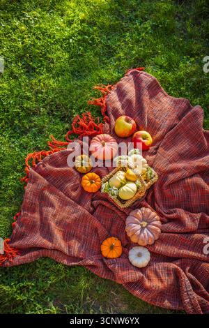 Autumn pumpkins and apples on picnic blanket in a garden or park Stock Photo