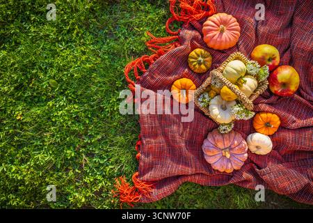 Autumn pumpkins and apples on picnic blanket in a garden or park Stock Photo