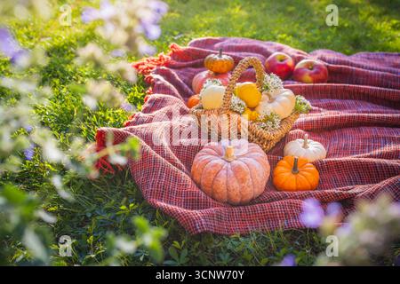Autumn pumpkins and apples on picnic blanket in a garden or park Stock Photo
