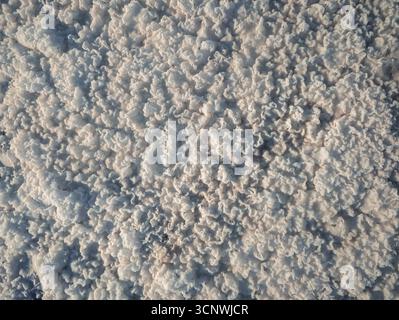 A detailed view of salt flat textures reveals intricate patterns and rugged formations, showcasing the natural artistry created by salt crystallizatio Stock Photo