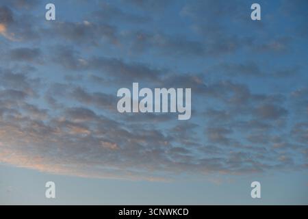 Dark grey altocumulus clouds against a blue sky at sunrise Stock Photo