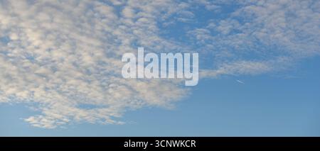 White altocumulus clouds against a blue sky at sunrise, banner form Stock Photo