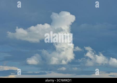 Cumulus congestus or white puffy cloud against a backdrop of dark blue clouds Stock Photo