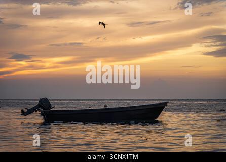 A lone motorboat floats on the calm Caribbean Sea beneath a glowing sunset sky, with soft orange and yellow hues and a bird soaring above, evoking pea Stock Photo