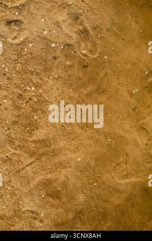 Sandy surface with clear shallow water and scattered pebbles. Visible footprints create a natural, textured background shaped by human presence. Stock Photo