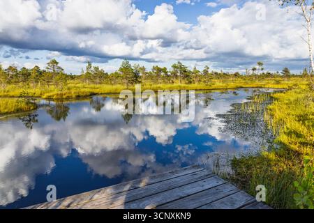Pristine Bog Boardwalk over Mirror Like Wetland with Clouds Reflected. Kemeri Bog, Latvia Stock Photo