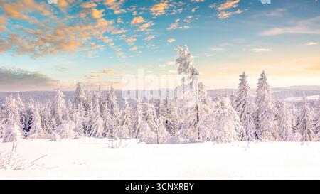 Schliffkopf, Schwarzwald, Baden Wuerttemberg, Germany Stock Photo