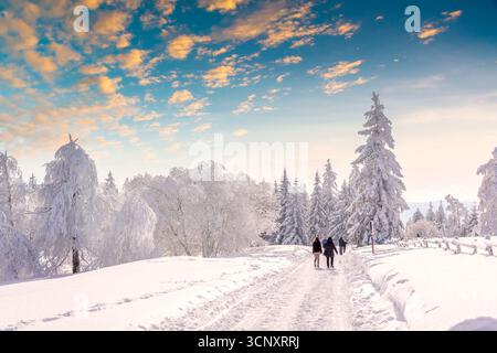 Schliffkopf, Schwarzwald, Baden Wuerttemberg, Germany Stock Photo