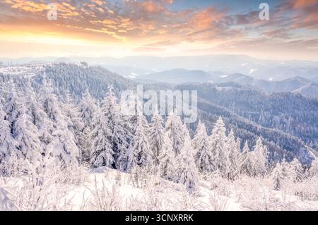 Schliffkopf, Schwarzwald, Baden Wuerttemberg, Germany Stock Photo