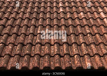 Perspective view of an old terracotta roof tiles showing patina and rust marks. The weathered surface evokes rustic charm, aging architecture, and tra Stock Photo