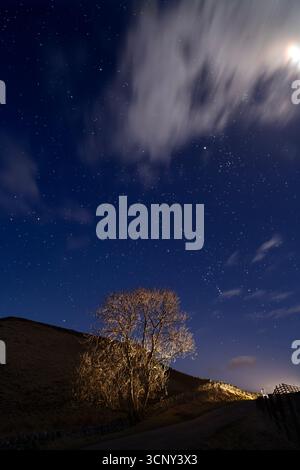 Hadrian's Wall - Caw Gap under a star-filled night sky. The half-full moon is part-hidden behind clouds, whilst a passing car illuminates the tree. Stock Photo