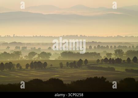 Misty Slovakian countryside at sunrise with rolling hills, silhouetted trees and low Tatras in the background, Topoľčany District, Nitra Region, Slova Stock Photo