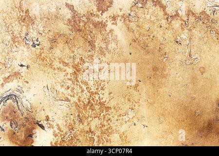 Old parchment paper texture. Rustic aged sheet with stains and burn marks. Vintage background closeup of weathered surface. Antique grunge detail. Stock Photo
