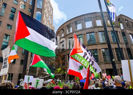 Palestinian flags at Draw the Line Protest March, Vancouver, British Columbia, Canada Stock Photo