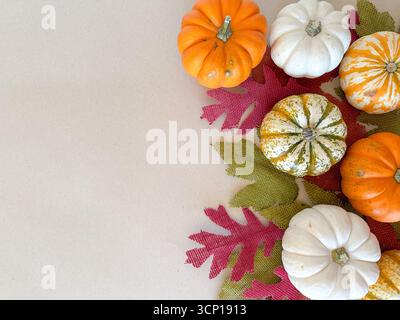 A festive still life featuring small white, orange, and striped pumpkins arranged on textured burlap leaves in red, orange, and green. Stock Photo