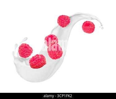 Raspberries with milk splashes close-up isolated on white background Stock Photo