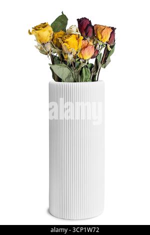 Dried yellow and red roses in white ceramic vase isolated on white background Stock Photo