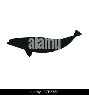 Vector flat hand drawn beluga whale silhouette isolated on white background Stock Vector