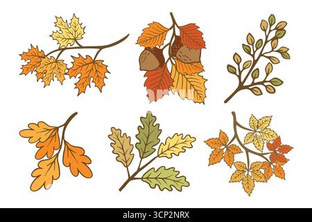 Collection of six stylized autumn branches with colorful leaves and acorns, showcasing the vibrant hues of fall Isolated on a white background for ver Stock Vector