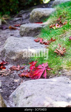 red fallen leaves on a stone stairs outside Stock Photo