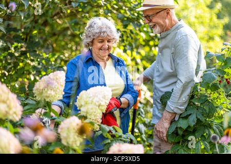 Senior couple working together in the garden on a sunny day Stock Photo