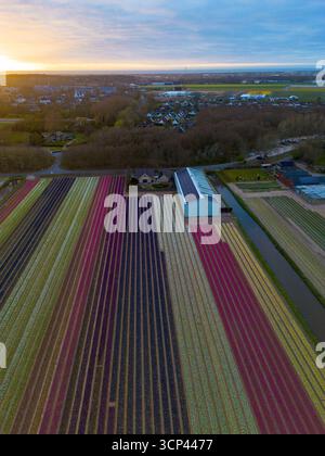 Aerial view of a farm with white farmhouses, silos, and barns ...