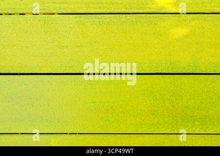 A yellow wooden board with a green stripe. The board is made of wood and has a green stripe on it Stock Photo
