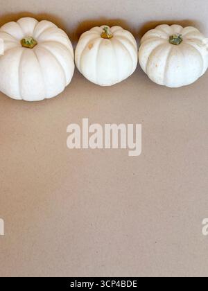 A neutral fall background featuring three white pumpkins arranged against a simple beige backdrop. Seasonal designs, Thanksgiving and Halloween Stock Photo