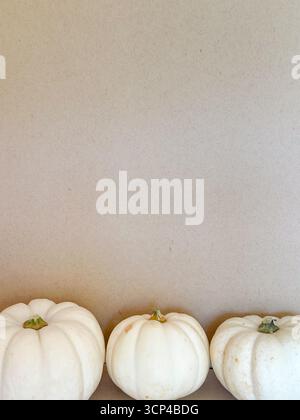 A neutral fall background featuring three white pumpkins arranged against a simple beige backdrop. Seasonal designs, Thanksgiving and Halloween Stock Photo
