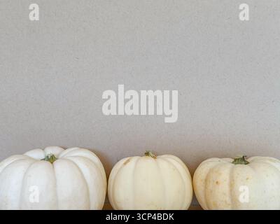 A neutral fall background featuring three white pumpkins arranged against a simple beige backdrop. Seasonal designs, Thanksgiving and Halloween Stock Photo
