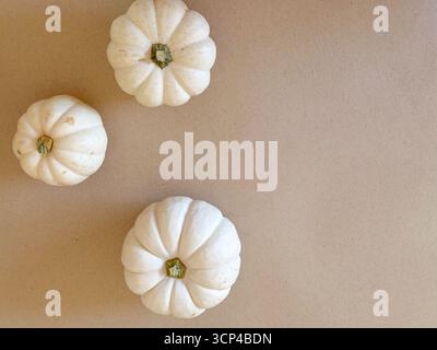 A neutral fall background featuring three white pumpkins arranged against a simple beige backdrop. Seasonal designs, Thanksgiving and Halloween Stock Photo