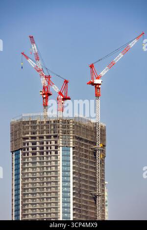 Construction site showing a modern skyscraper being built with tower cranes Stock Photo