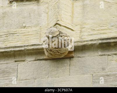 Modern day gargoyles on St Mary's Church, Beverley, East Yorkshire, UK ...