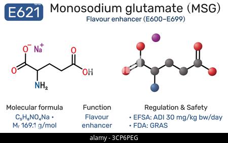 E621 monosodium glutamate MSG molecule. Flavour enhancer food additive. Structural formula and 3D model vector illustration Stock Vector