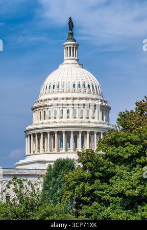Dome, Rotunda, Statue of Freedom, United States Capitol, Capitol ...