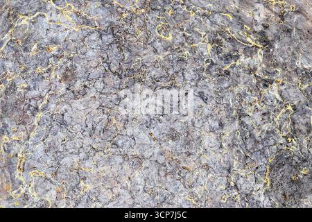 Rough grunge metal texture. Old corroded surface with scratches and dirt. Industrial closeup background. Abstract detail of weathered sheet. Stock Photo