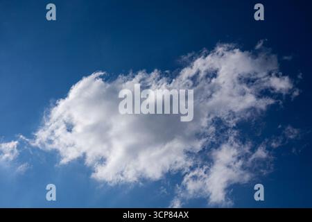 Fluffy white cloud floating in the blue sky on a sunny day, illustrating nature, weather and freedom concepts. Stock Photo