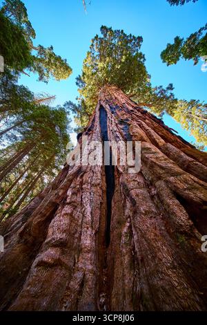 California coast landmark low angle hi-res stock photography and