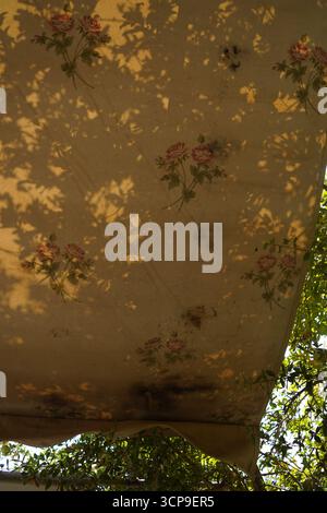 A dirty, stained vintage rose-patterned canopy clearly shows wear and grime. Perfect for illustrating the need for professional cleaning. Stock Photo