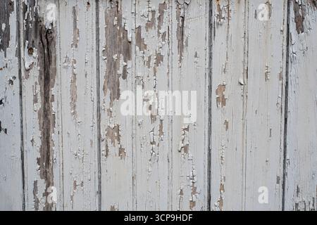 Close-up of a rustic wood texture painted white Stock Photo