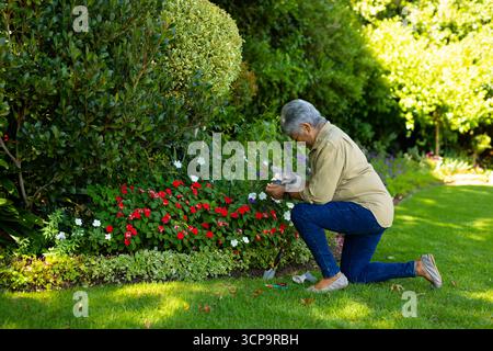 Senior female gardener kneeling beside flower bed in garden trimming blooms with shears, copy space Stock Photo